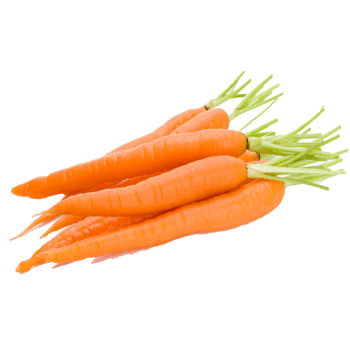 فروش هویج